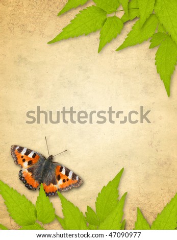 ... From Spring Leaves And Butterfly Stock Photo 470909
