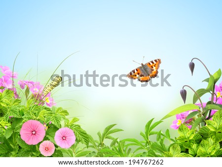 Summer frame with green leaves, flowers and insects