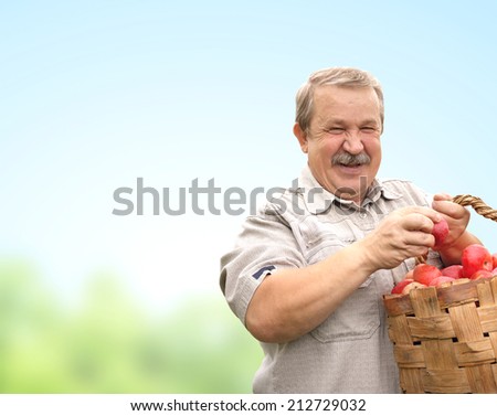 Senior man, harvesting an apples