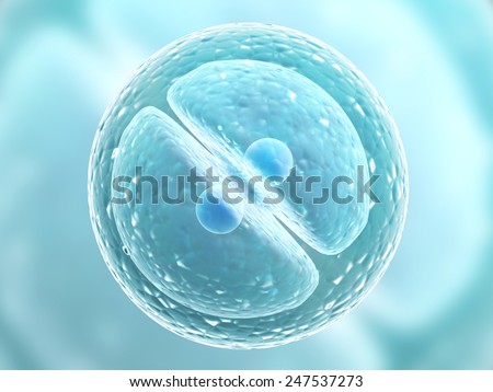 Process division of cell Process division of cell