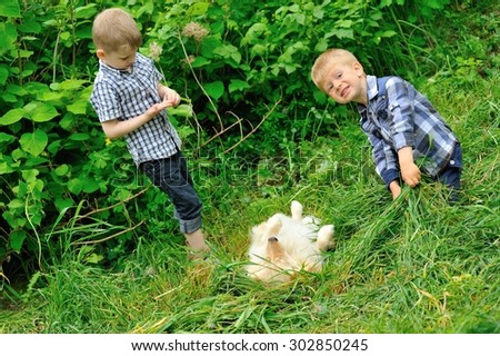Two cute blonde boys dressed in a plaid shirt hidden in lush green tall grass and an old redhead dog fooling around with them