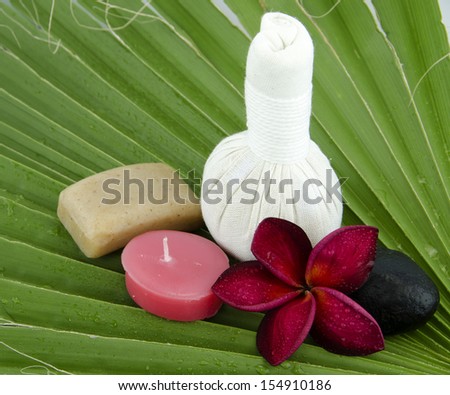 The spa includes massage, spa candles, soap, zens tone and red frangipani arranged on green leaves.