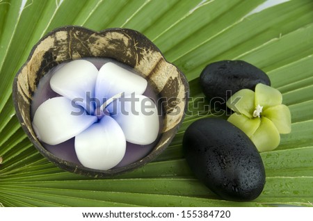Spa candle shaped flowers in coconut shell, small flower, candle and spa black stones, large and small, put on lots of green leaves with drops of refreshing and relaxing island.