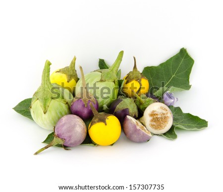 Various types of eggplant, aubergine, eggplant, yellow, white eggplants are both halved and cut, and paste on the eggplant, green eggplant flowers on a white background.