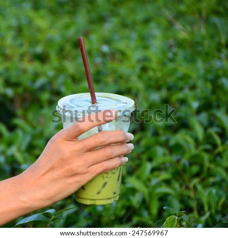Green tea with milk over ice in a plastic cup with a lid with a tube for suction. Sweet, cool and refreshing health drink tea plantation.