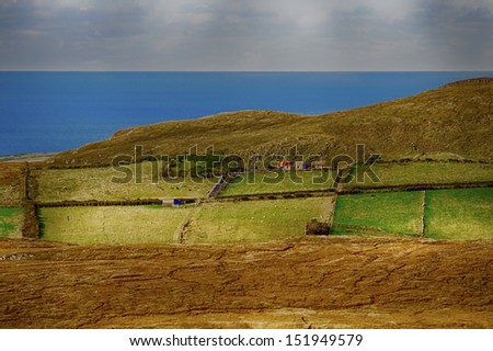 Fields and Sea