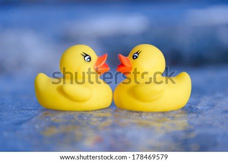 Love yellow duck
