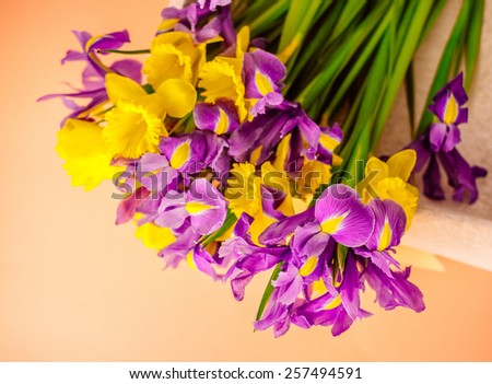 Beautiful spring flowers in the box