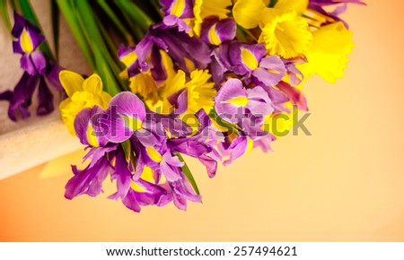 Beautiful spring flowers in the box
