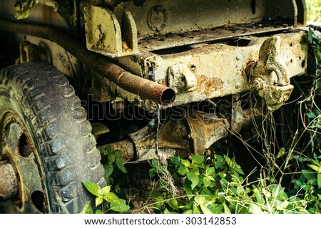 Old truck in the jungle