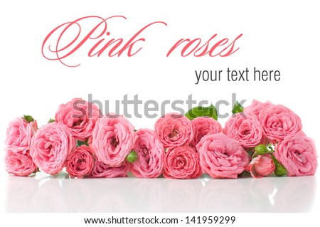 Flower background with pink roses, ready design template, isolated