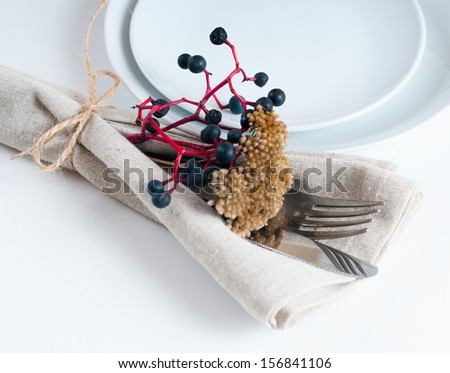 Autumn table setting with wild grapes, dried herbs and berries in a napkin, plate, fork and knife on a light background