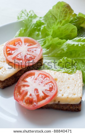 Grilled rye bread with cheese, tomatoes and salad leaves on white plate