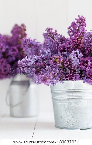 Two bouquet of lilac flowers in zinc pots on a white wooden board, home decor in a rustic style