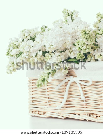 Fresh spring bouquet of white lilac flowers in a wicker basket, shabby chic home decor in a rustic style, vintage faded colors.