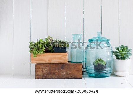 Vintage home decor: houseplants, green succulents, old wooden boxes and vintage blue glass bottles on white wooden board, cozy home interior.
