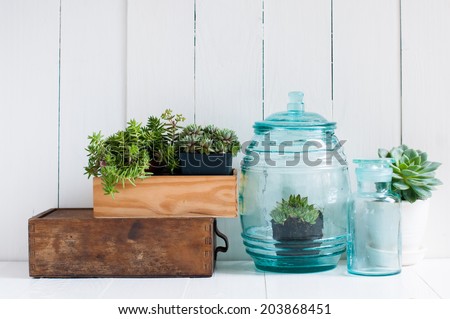 Vintage home decor: houseplants, green succulents, old wooden boxes and vintage blue glass bottles on white wooden board, cozy home interior.