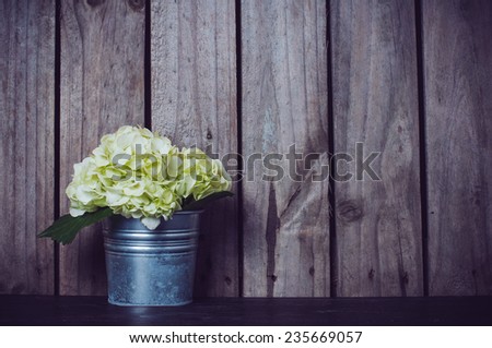 White hydrangea flower in a tin pot on an old wooden board background