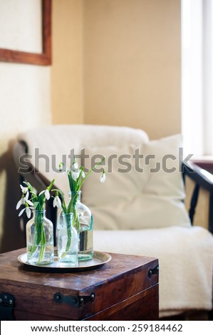 Spring flowers snowdrops in glass bottles, home interior, vintage chair with a pillow