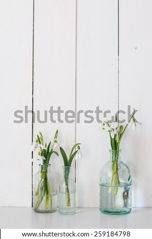 White spring flowers snowdrops in vintage glass bottles on white  barn wall background, cottage interior decoration