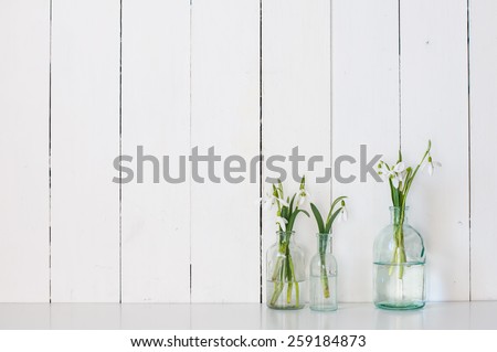 White spring flowers snowdrops in vintage glass bottles on white  barn wall background, cottage interior decoration