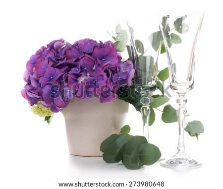 Big bouquet of fresh flowers, purple hydrangeas and white roses, and champagne glasses on a white background isolated