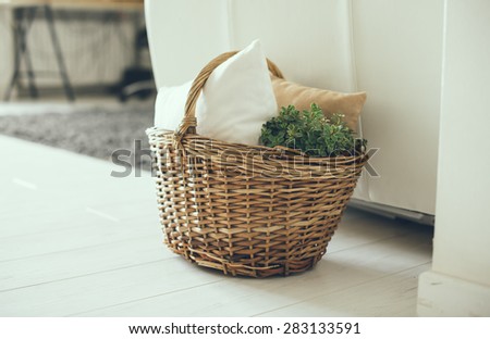 Wicker basket with pillows and green home plant on a floor by the sofa, modern home interior decor