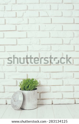 Green home plant near the white brick wall on the floor, rustic home interior decor with copy space