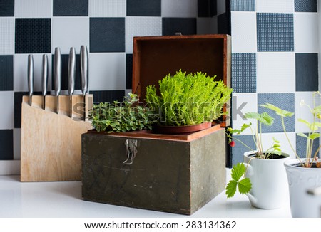 Kitchen utensils, decor and kitchenware in the modern kitchen interior close-up. Home plants on a windowsill.