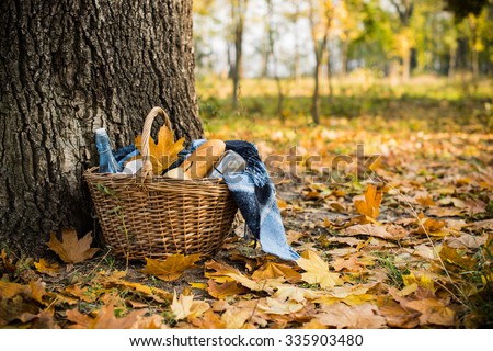 Basket with a blanket, coffee and food in the yellow autumn leaves. Autumn picnic in the park, a warm autumn day.