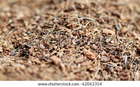 close up of brown mulch good for use as a background
