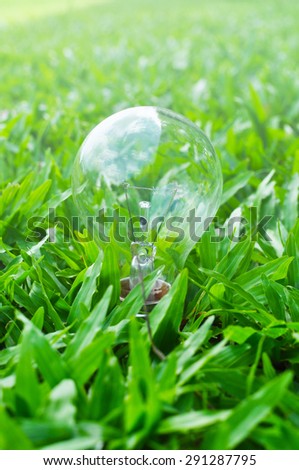 Lamp on green grass ,eco light bulb energy concept