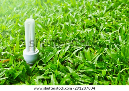 Lamp on green grass ,eco light bulb energy concept