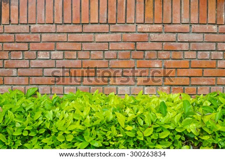 Red brick wall and green leaves with space for text