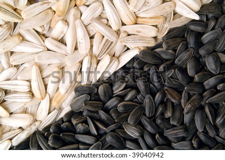 sunflower seeds, black and white