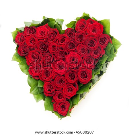 Stock Photo on Stock Photo   Bouquet Of Roses  Red Roses