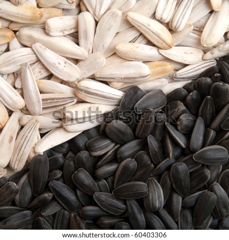black and white sunflower seeds
