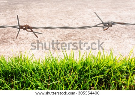Abstract background of protection, Colorful background of barbed wire, Walking beside the barbed wire fence and grass green.