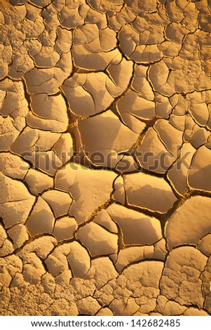 Golden color cracked mud texture in morning sunlight