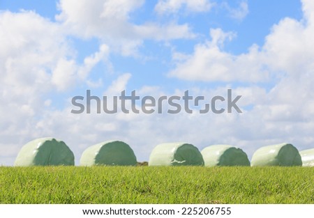 The blurry scene of white wrapped silage and sky background, in countryside New Zealand.
