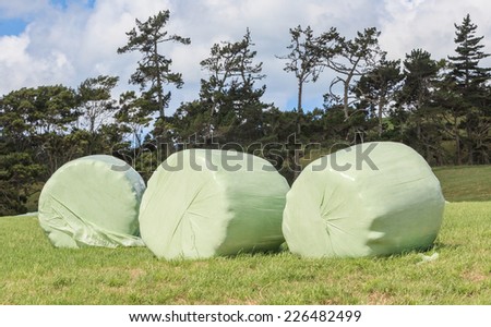Bales of silage wrapped in white plastic at the green field in summer New Zealand.