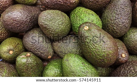 Avocado also refers to the Avocado tree\'s fruit, which is botanically a large berry containing a single seed. Avocados are very nutritious and contain a wide variety of nutrients.