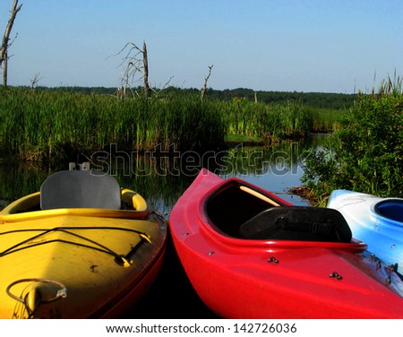 Colorful Kayaks ready to take their passengers on a back woods adventure on a brilliant morning into the wild.
