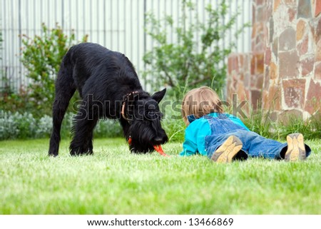 Blond child and black dogs Riesenschnauzer; playing at green lawn close to house; summer day (series Children, Animals)