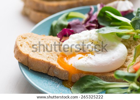 Whole wheat toasted bread with poached egg, runny egg yolk and fresh green salad leaves on blue plate. Close up healthy food image