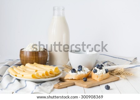 Dairy products: bottle of milk, cottage cheese, farmers cheese, yellow cheese, toast with curd and blueberries on white board, isolated