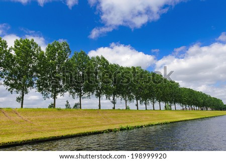 Trees on the river dam, which was built along the Maas, North Brabant, The Netherlands