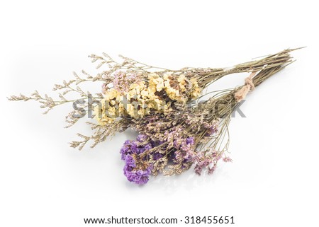 Bouquet of dried flowers on white