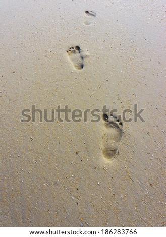 a lone footprints in sand songkhla,thailand