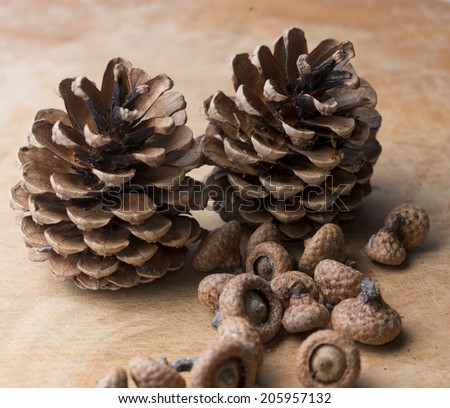 the pine nuts on wooden table